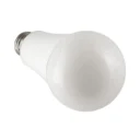 LED Light Bulbs