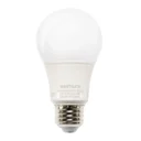 Vintage LED Bulbs