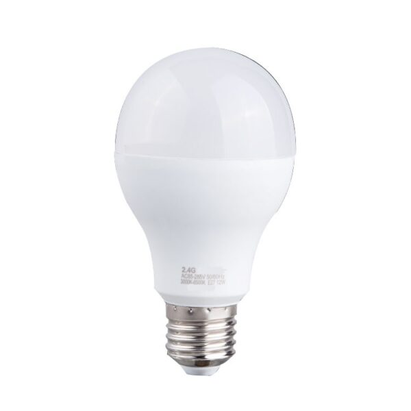 LED-Remote-Control-Light-Bulb-6W9W12W100-240V-1-1